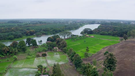 Toma-De-Drones-Hacia-Atrás-De-Una-Densa-Selva-Tropical