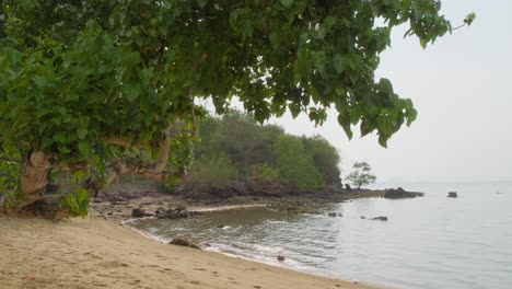 Exuberantes-árboles-Verdes-En-La-Playa-De-Labuan-Bajo,-Nusa-Tenggara-Oriental,-Indonesia