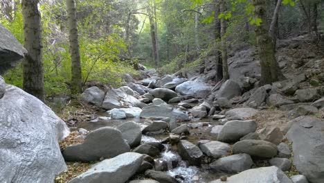 Beruhigender-Fluss,-Der-über-Von-Wald-Umgebene-Felsen-Fließt-–-Entspannende-Natur-Mit-Wunderschöner-Landschaft