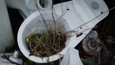 Baño-Blanco-Abandonado-Con-Plantas-Creciendo-A-Través-De-él.