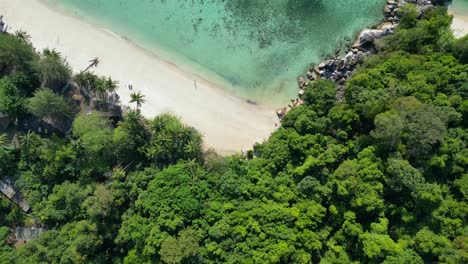 Tropical-paradise-secluded-serene,-sandy-beach-alongside-lush-forest-clear-blue-water