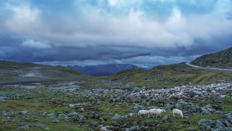 Dunkle-Gewitterwolken-Wirbeln-über-Der-öden-Landschaft-Des-Aurlandsfjellet-Bergplateaus-In-Norwegen,-Wo-Schafe-Grasen