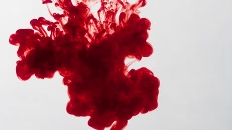 liquid-art-blood-injection-on-white-background