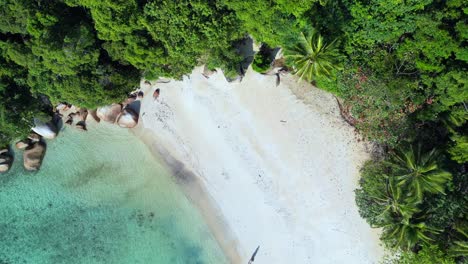 Tropical-paradise-secluded-serene,-sandy-beach-alongside-lush-forest-clear-blue-water