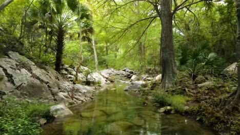 Drohnenaufnahmen,-Die-über-Einen-Ruhigen-Bach-Geschossen-Wurden,-Der-Durch-Weiße-Felsen-Inmitten-Des-Tropischen-Waldes-Fließt-Und-Die-Umliegenden-Bäume-Freigibt