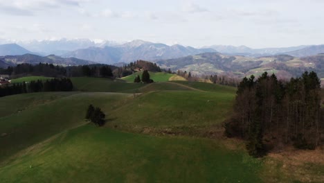 Weite-Grüne-Wiesen,-Geschmückt-Mit-Wilden-Krokussen,-Safranfelder,-Die-Zu-Einem-Sonnenbeschienenen-Hügel-Mit-Majestätischen-Schneebedeckten-Bergen-In-Der-Ferne-Führen