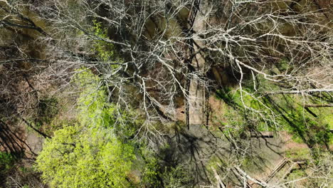 Área-De-Manejo-De-Vida-Silvestre-Del-Estado-De-Bell-Slough,-árboles-Junto-Al-Arroyo-A-Principios-De-Primavera,-Vista-Aérea