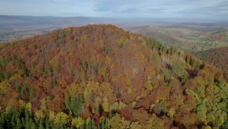 Aerial-orbit-shot-over-the-autumn-colored-hill-top-forest-in-Europe