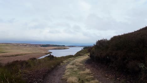 Yorkshire-Moorlandschaft-In-Der-Englischen-Landschaft