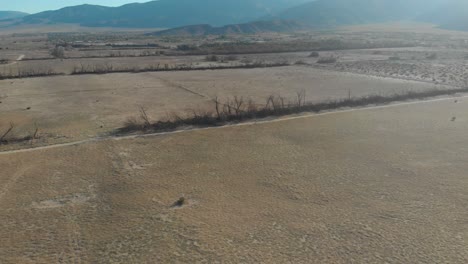 Toma-Alejada-Que-Muestra-Una-Hilera-De-árboles-Muertos-Rodeados-De-Campos-Abiertos-Y-Luego-Revela-Un-Impresionante-Conjunto-De-Montañas.