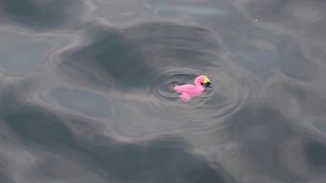 Ein-Weiches-Flamingo-Spielzeug-Für-Kinder,-Das-Auf-Der-Oberfläche-Des-Meerwassers-Schwimmt-Und-Sicherheitskonzepte-Für-Kinder-Fördert