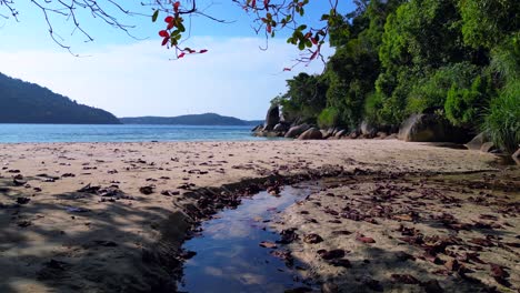 Tropical-paradise-secluded-serene,-sandy-beach-alongside-lush-forest-clear-blue-water