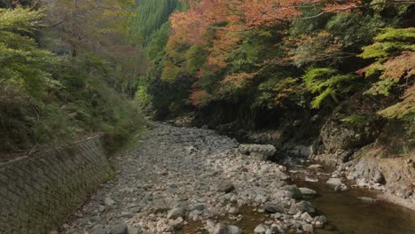 Aerial-drone-fly-slow-motion-through-japanese-zen-river-valley-green-trees-lush-vegetation-and-grey-stones-of-ancient-monk-times,-Japan-Kyoto-environment