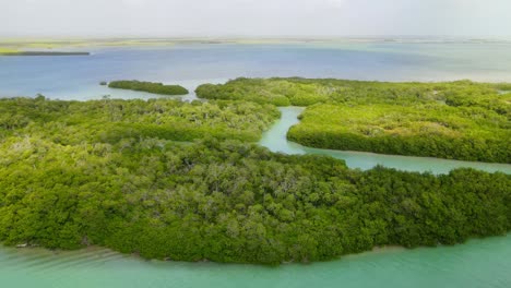 Vista-Aérea-Del-Amanecer-De-Los-Bosques-De-Manglares-En-La-Reserva-De-La-Biosfera-De-Sian-Ka&#39;an.