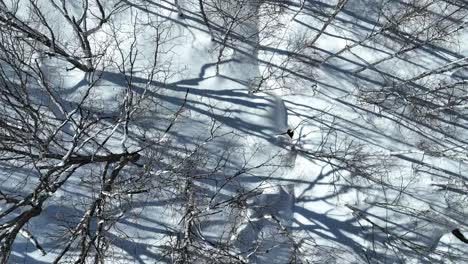 Luftaufnahme-Eines-Verschneiten-Tals-In-Japan-In-Der-Nähe-Der-Region-Nagano-Myoko-Yamanochi