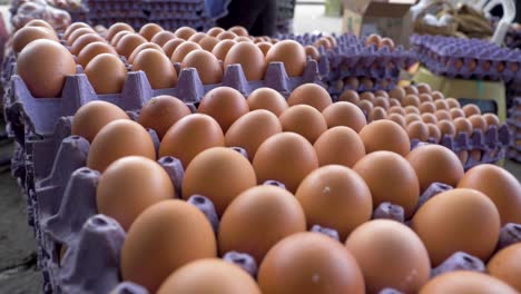 A-stack-of-organic-egg-cartons-for-sale-at-the-traditional-market-in-Machachi,-Ecuador