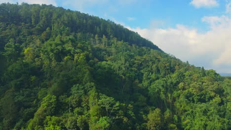 Drone-fly-over-dense-green-of-forest-with-cloudy-blue-sky