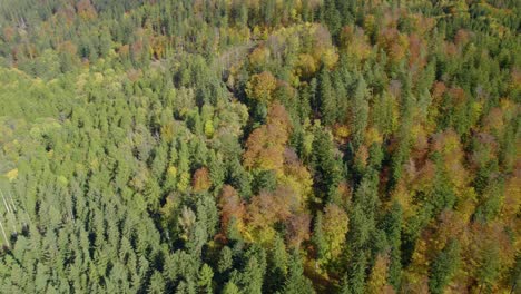 Aerial-shot-over-the-rural-landscape-with-autumn-mountain-forest-during-the-fall-season