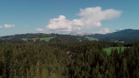 Aerial-of-Lakes,-Forests-and-Mountains-in-rural-Switzerland