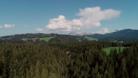 Antena-De-Lagos,-Bosques-Y-Montañas-En-La-Suiza-Rural