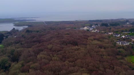 Drohnenaufnahme-Des-Barna-Waldes-Mit-Der-Spitze-Der-Bäume-Und-Dem-Silbernen-Strand-Im-Hintergrund