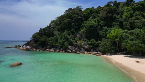 Seychelles-beach-palm-trees-smooth-rocks