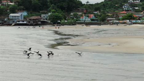 Los-Pájaros-Vuelan-Bajo-Sobre-Una-Playa-De-Pescadores-En-El-Sur-De-Brasil.