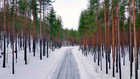 Drohnenvideo-Einer-Schneebedeckten-Straße-Mit-Hohen-Bäumen-Im-Winter