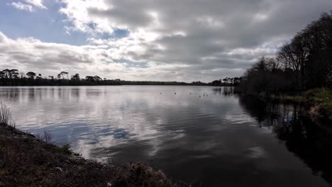 Angelsee-Im-Morgengrauen-Im-Frühling-Knockaderry-Waterford-Irland-OA