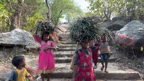 Niños-Tribales-Recogiendo-Ramitas-Y-Ramas-Del-Bosque-En-Una-Aldea-De-Jharkhand.