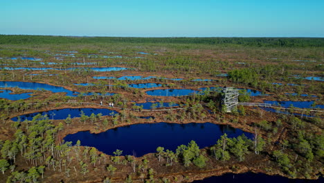 Panoramic-aerial-view-of-forest-and-lakes-of-the-wetlands-in-Kemeri-Bog,-Latvia