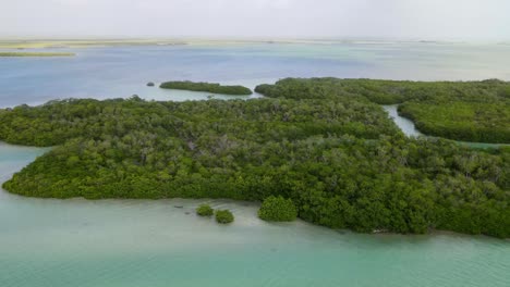 Panoramic-aerial-view-of-the-Sian-Ka'an-Biosphere-Reserve