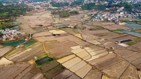 Aerial-view-of-paddy-field