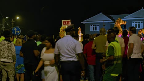 Rearview-of-locals-and-security-guards-protecting-tourists-during-Carnival-Parade-at-night