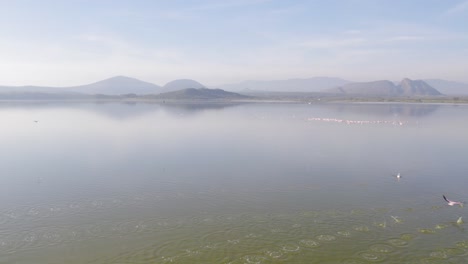 Flamingos-In-Einem-See,-Luftaufnahme-Einer-Drohne-In-Kenia