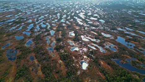 High-aerial-view-of-the-maze-of-wetlands-lakes-in-Kemeri-Bog,-Latvia