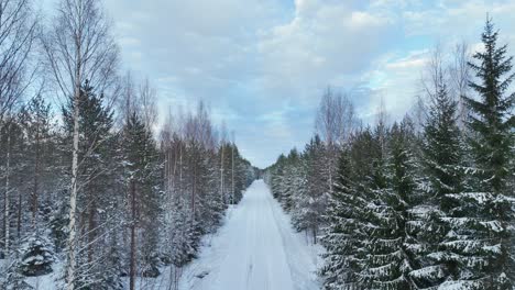 Vuelo-De-Drones-Sobre-Una-Carretera-Con-Nieve-A-Través-Del-Bosque