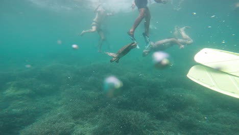 Divers-And-Sea-Turtle-Swimming-Under-The-Ocean-With-Bubbles-Floating