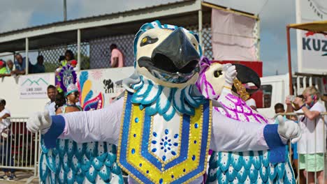 Masked-carnaval-bird-performer-with-blue-and-pink-festive-costumes,-frontal-view