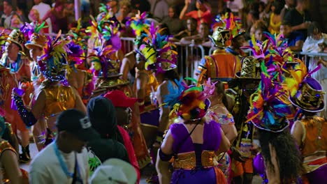 Rear-view-of-woman-kissing-and-smiling-during-Carnival-parade-at-night