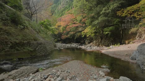 Drone-Aéreo-Vuela-Bajo-Río-De-Piedra-Zen-Japonés-En-El-Bosque-Paisaje-Del-Valle-De-Otoño-Agua-Del-Cedro-Tradicional-De-Japón-Coloridos-árboles-Naranjas-Y-Verdes-En-Kitayama-Wakayama