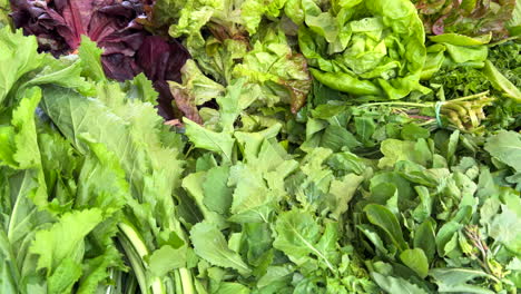 Fresh-organic-salad-leaves-and-green-herbs-for-sale-at-a-local-farmers-market-in-Marbella-Spain,-healthy-bio-vegetables,-4K-shot