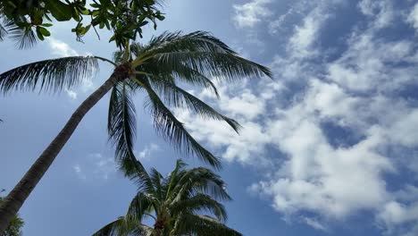 Wehende-Palmen-Vor-Blauem-Himmel-Mit-Flauschigen-Wolken,-Koh-Samui,-Thailand