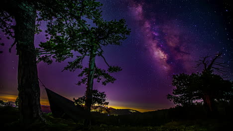 Saturated-Milky-way-timelapse-with-tree-silhouettes