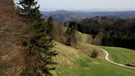 Rustikale-Kurvenreiche-Straße-Schneidet-Durch-Die-Grünen-Hügel-Und-Nadelbäume-Und-Führt-Den-Blick-Auf-Sanfte-Berge-In-Der-Ferne