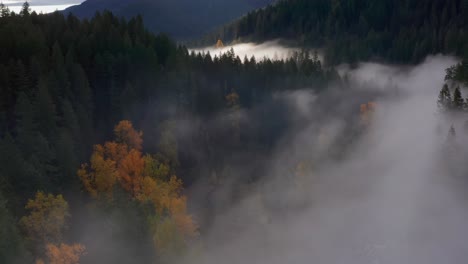 Immersive-Reise-über-Ein-Von-Morgennebel-Bedecktes-Flussufer-Im-Bundesstaat-Washington-Im-Herbst