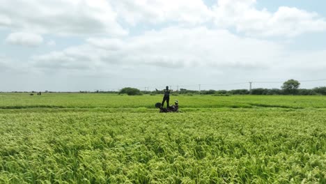 Motorbike-rider-stands-on-his-motorbike-in-the-middle-of-rice-fields-and-a-drone-flies-backwards