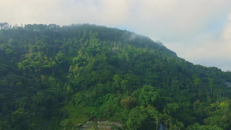 Aerial-view-scenery-of-green-lush-mountain-forest-in-foggy-morning