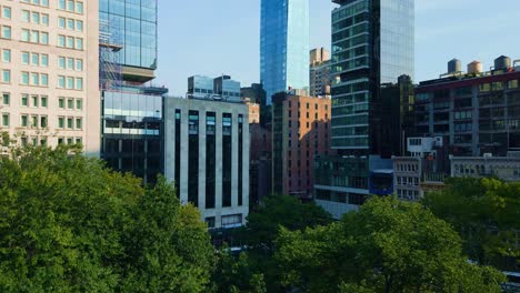 Von-Der-Natur-Enthüllt-Moderne-Wolkenkratzer,-New-York-City