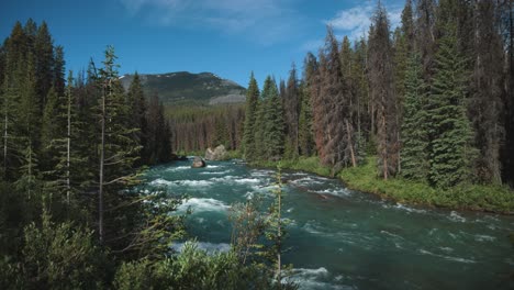 The-river-cuts-through-the-lush-green-forest,-its-water-flowing-steadily-as-it-meanders-past-tall-trees-and-underbrush